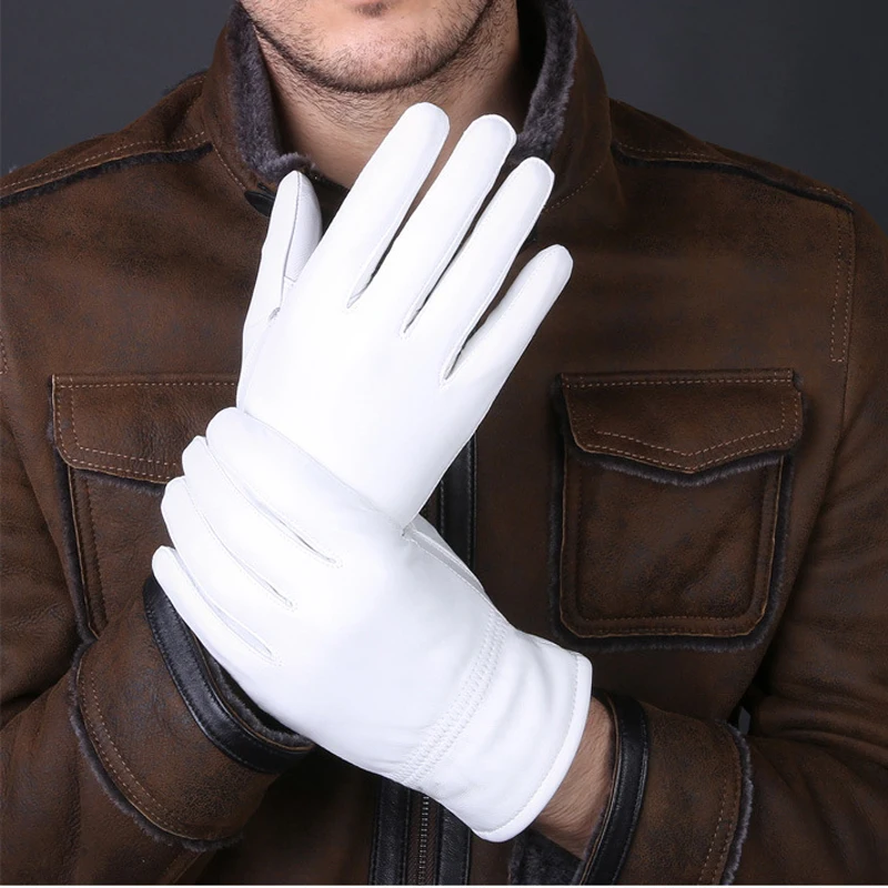 2025 Winter Genuine Leather Wh - Leather Driving Glove のレビューと価格