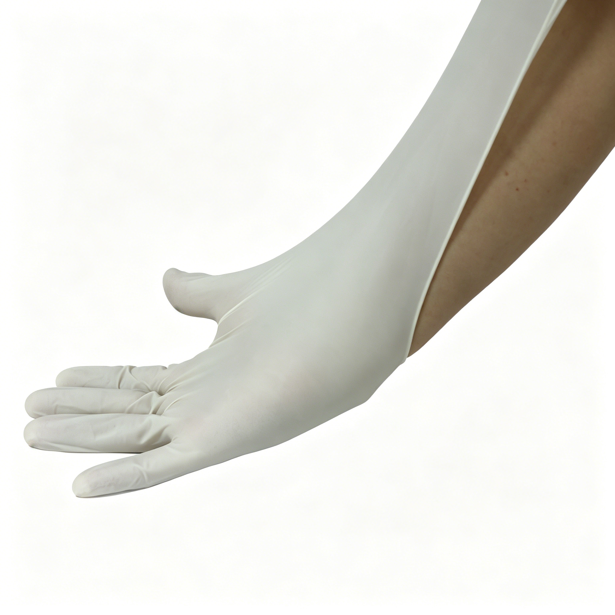 Disposable medical rubber exam - Latex Disposable Glove のレビューと価格