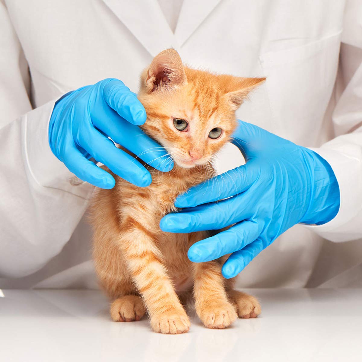 Latex-Free Blue Nitrile Exam G - Exam Glove Nitrile のレビューと価格