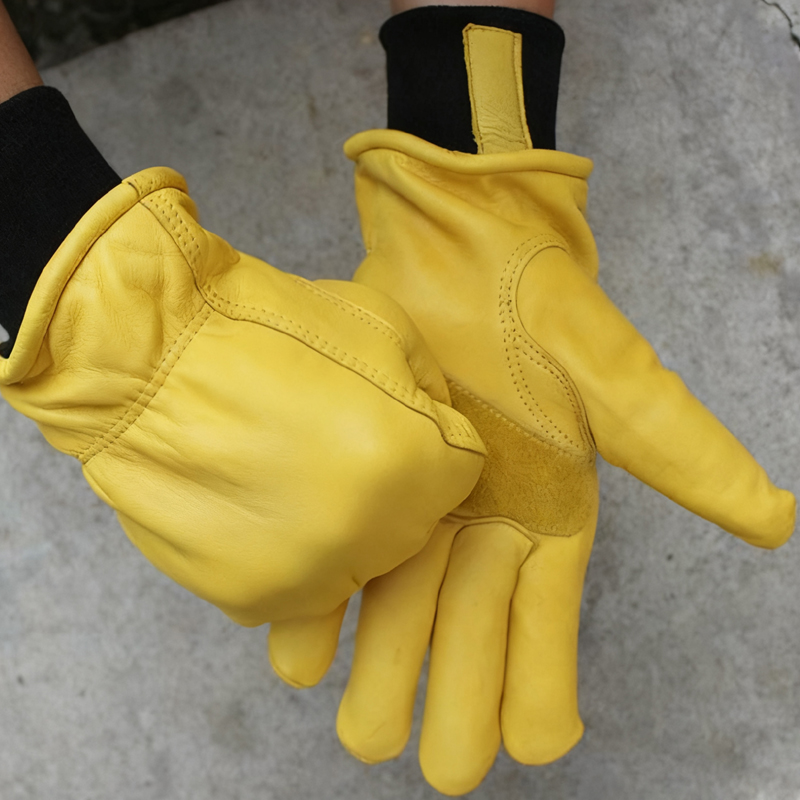 Mens Motorcycle Winter Gloves  - Winter Glove Insulated のレビューと価格